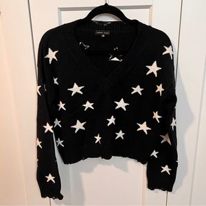 Honey punch cropped star sweater